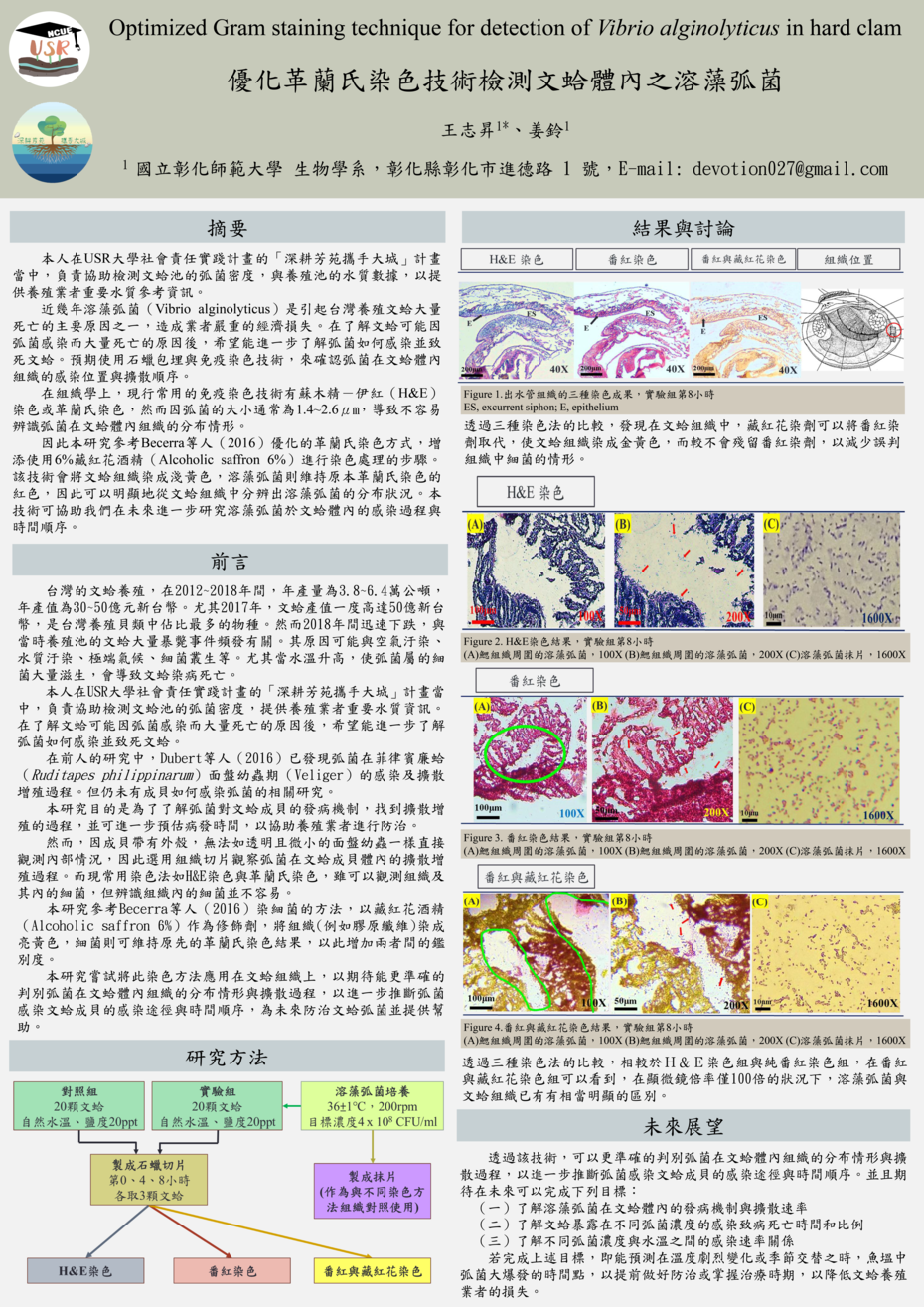 佳作:檢測溶藻弧菌