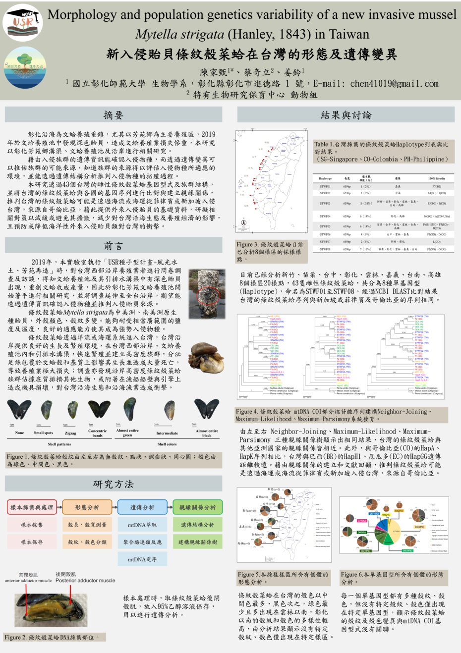 佳作:形態及遺傳