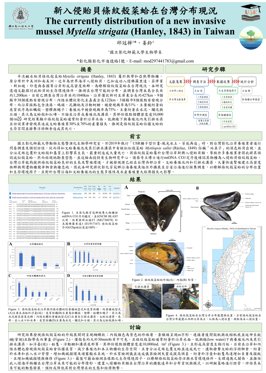 佳作:貽貝分布